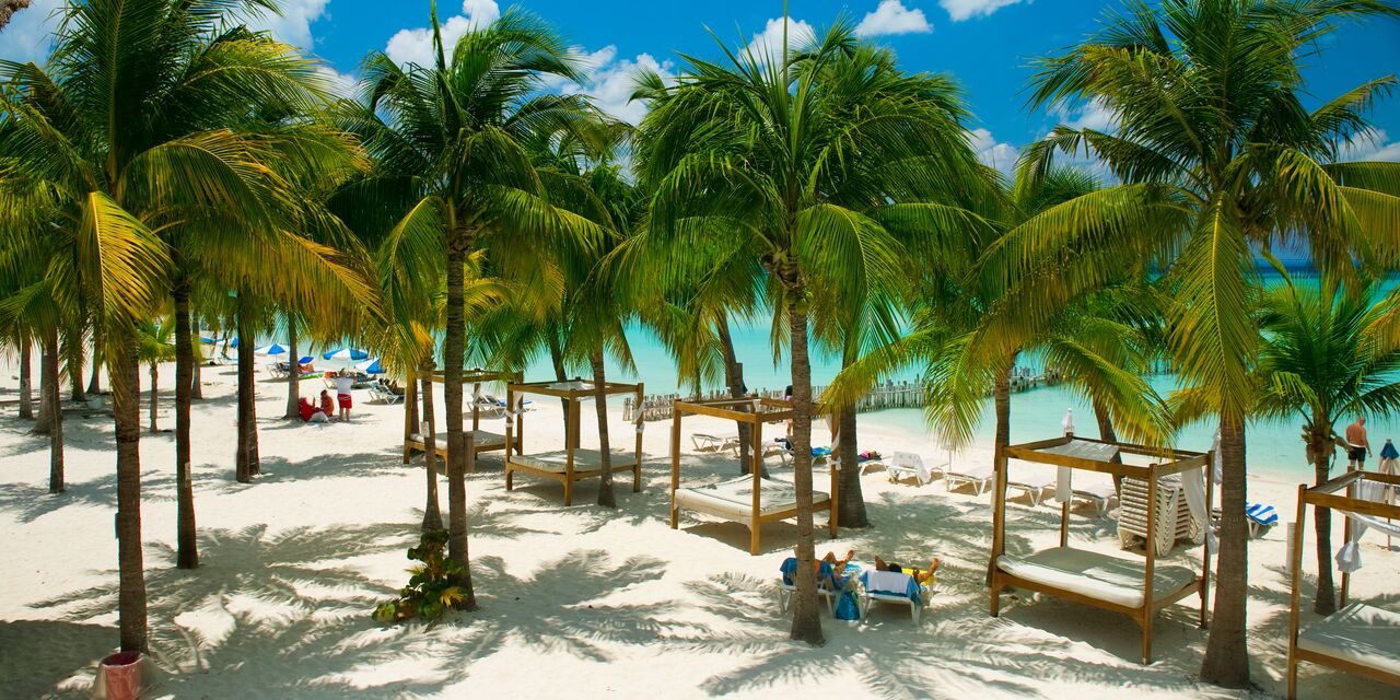 Wonderful palm-lined beaches