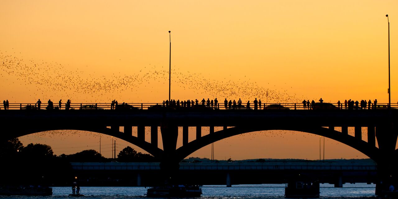 Bats flying out over the Congress Ave Bridge