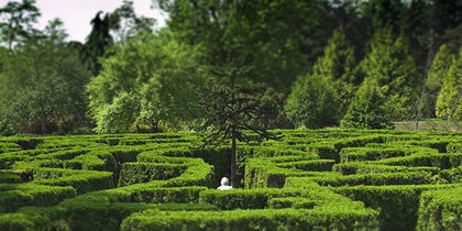 Wandering through the maze