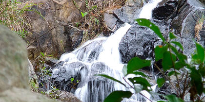 The waterfall in winter