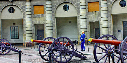 Palace guard and cannons