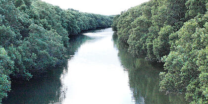 Powells Creek