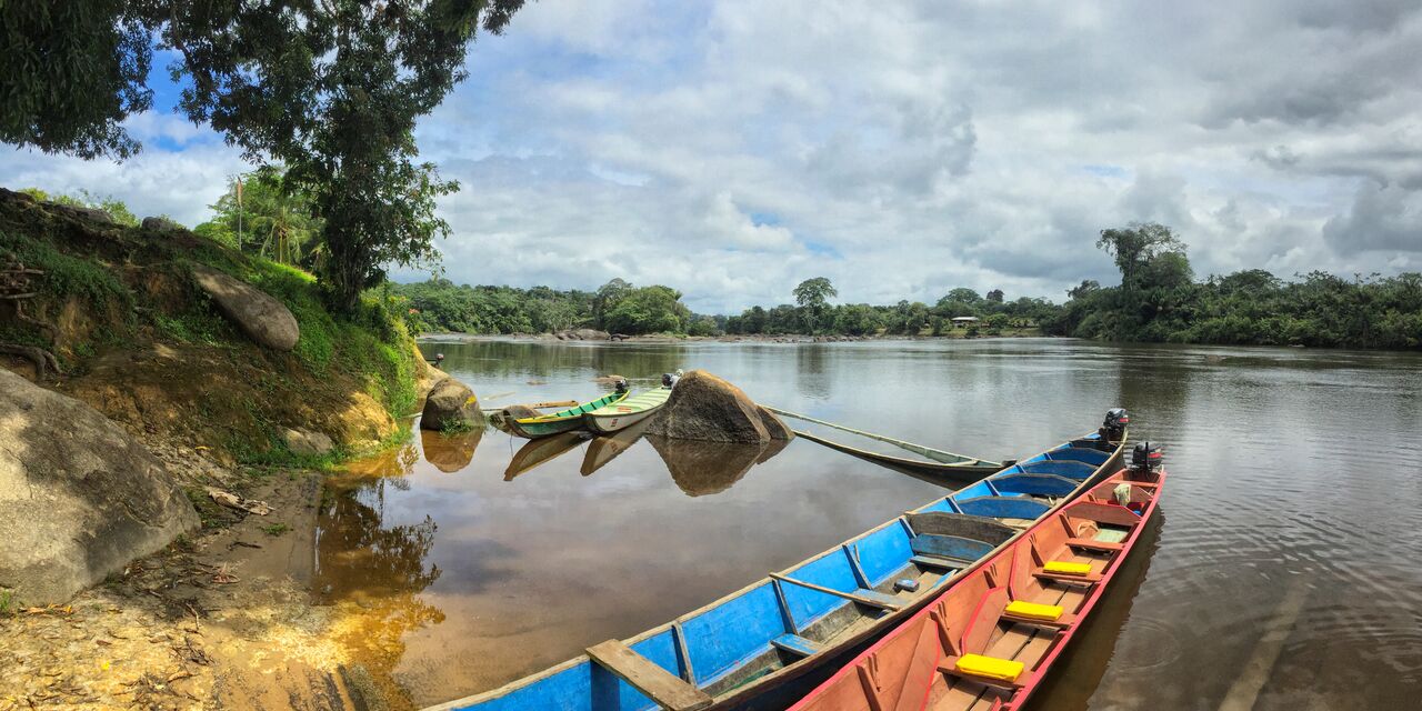 The Suriname river