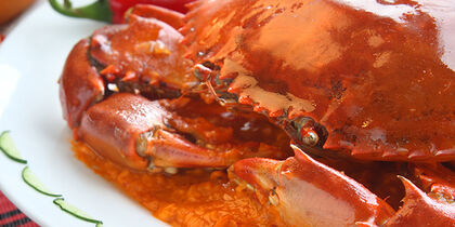 Chili crab with bread