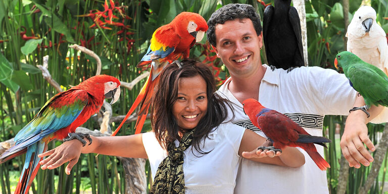 Photo in Bali Bird Park