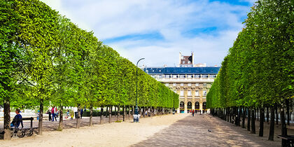 Le Jardin du Palais-Royal