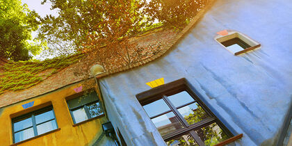 Vegetation on the roof