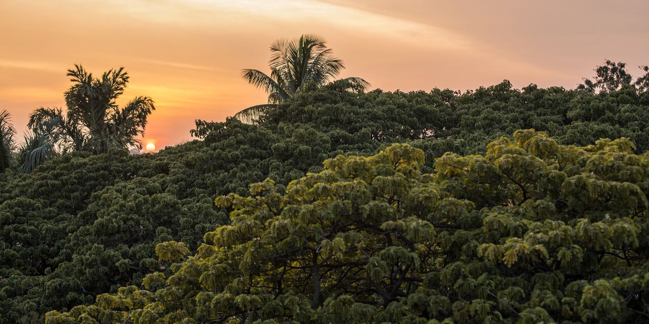 Bangalore sunset