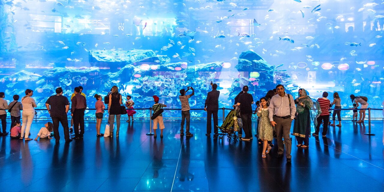 Dubai Aquarium in the Dubai Mall