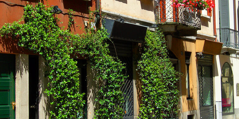 Cosy shopping on via Brera