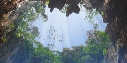 The ‘skylight’ of the Temple Cave