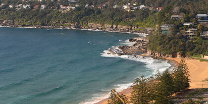 Whale Beach