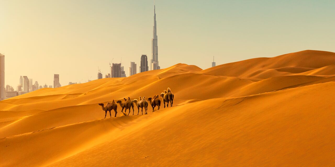 Desert bordering the city