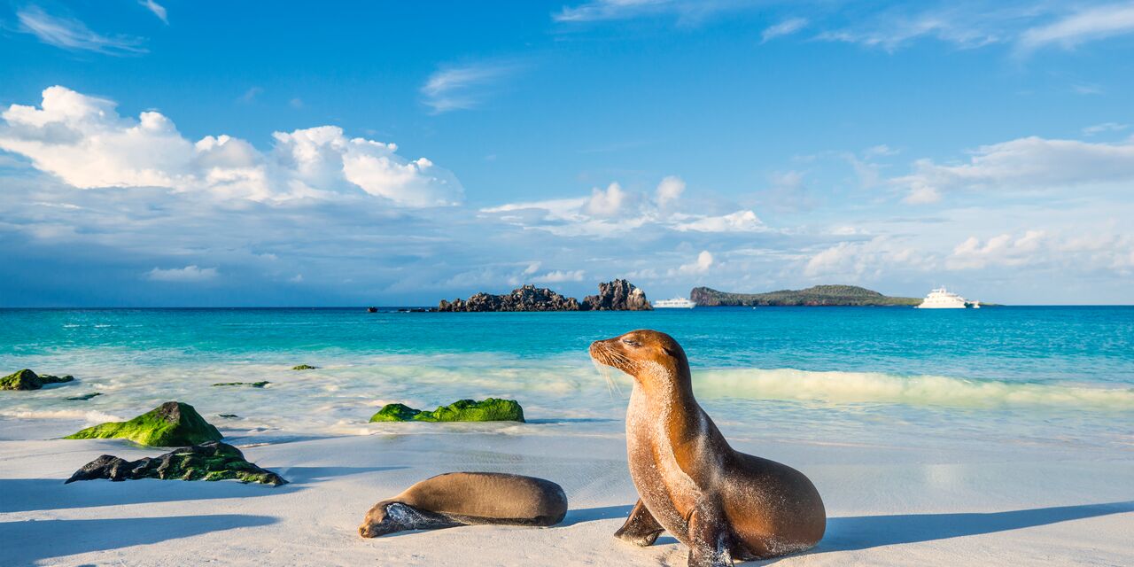 The breathtaking Galapagos Islands