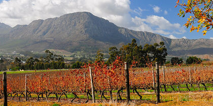 Franschhoek