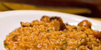 Risotto at Da Abele