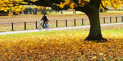 Cycling through Hyde Park