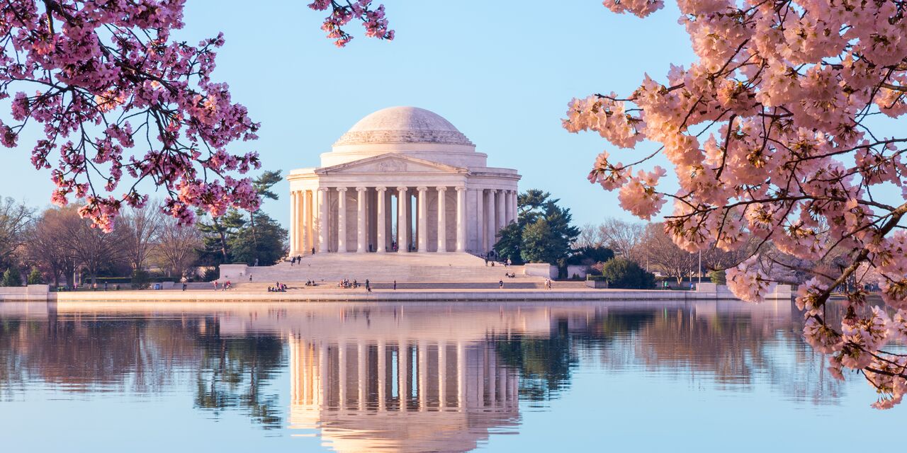 Cherry blossom at Jefferson Memorial